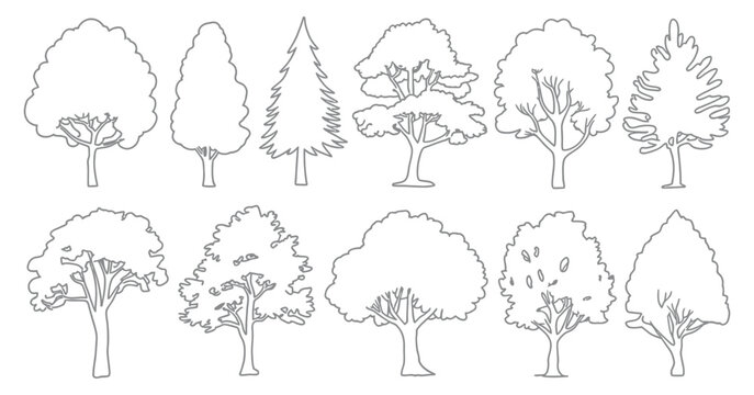 CAD tree line drawing set, minimal style mixed tall conifer and deciduous trees, side view outline symbols for landscape architecture forest section vector illustration.