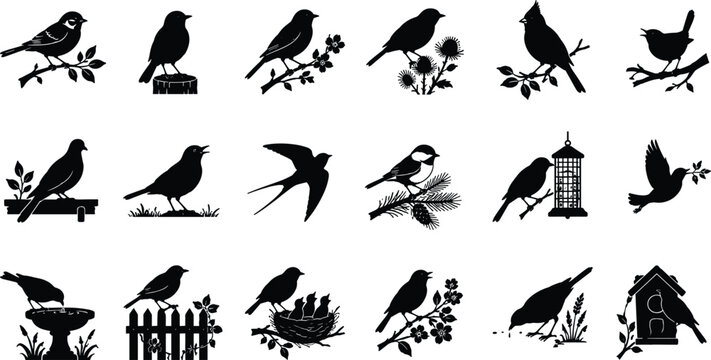 WebGarden birds and backyard wildlife silhouette vector illustration set representing diverse songbird species and avian nature elements