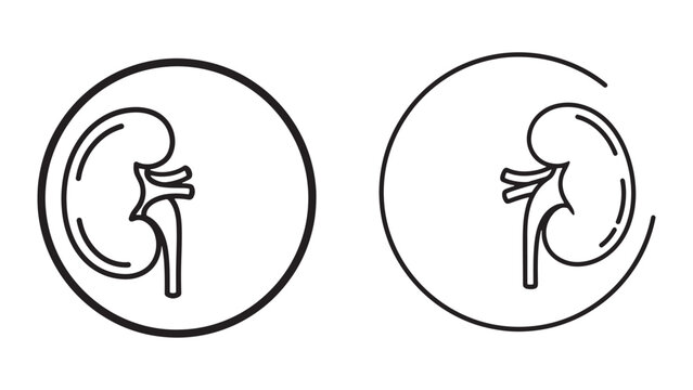 Human kidney line icons in circular frames, minimal anatomical medical illustration isolated on black background
