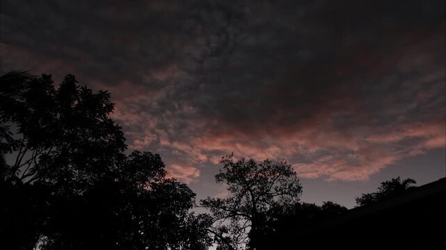 Espectacular atardecer con nubes anaranjadas iluminadas por los &uacute;ltimos rayos del sol y &aacute;rboles en silueta, formando un paisaje sereno de crep&uacute;sculo y belleza natural al aire libre.