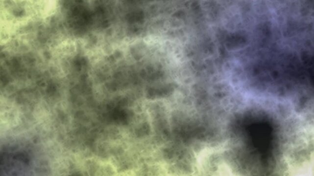Microscopic view of cellular structures in various stages