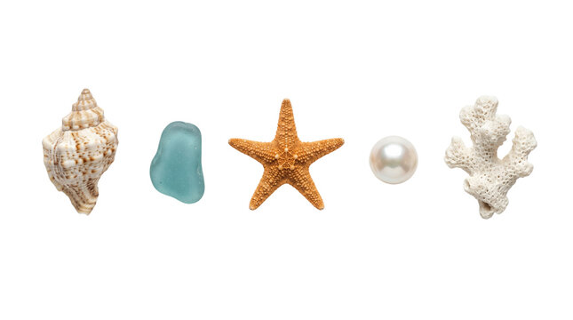 Ocean marine beach life treasures collection, isolated on transparent background