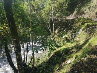 Obraz premium Paisajes naturales en clima tropica
