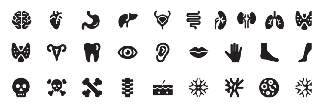 Collection of black human organ and body part on white background brain heart stomach