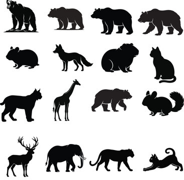 Zebra standing side view full body silhouette illustration with silhouette