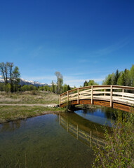 Fototapeta premium View of the Grand Tetons from R Park near Jackson, Wyoming