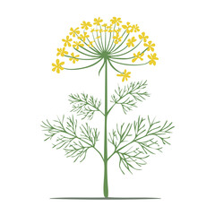 Obraz premium Illustration of a dill flower and plant with yellow blossoms