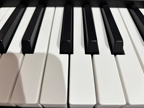 Teclas de um teclado musical 