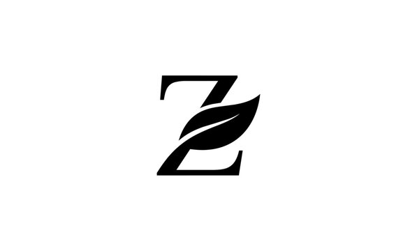 Z initial letter logo or Z monogram