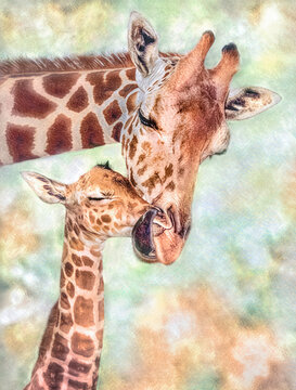 Giraffe mother wraps tongue around newbornes muzzle, digital photo art