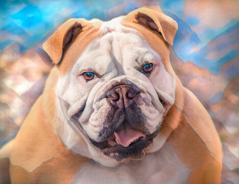 English Bulldog portrait, digital photo art