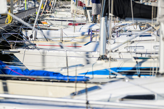 Crowded marina filled with white sailing yachts in sunlight.