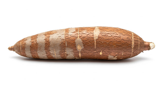 A single raw cassava root with textured brown skin and light gray stripes on a white background
