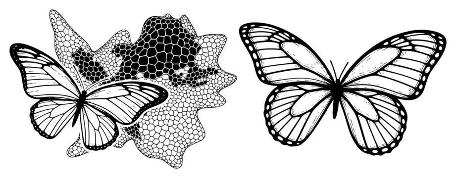 Monarch Butterfly Set with Abstract Geometric Pattern Hand Drawn Nature Illustration