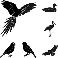 Obraz premium Black bird silhouettes, vector birds, avian icons, 6-piece set