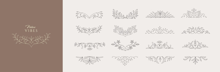 Set of floral design elements. Delicate botanical branch and border. Botanical vector illustration for invitation, save the date