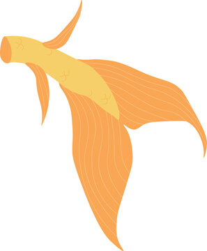 Stylized orange mermaid tail vector illustration isolated on white bacround