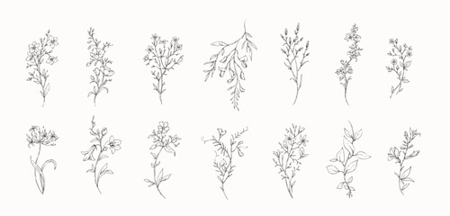 Obraz premium Set of whimsical drawing various flowers and leaves. Luxury floral collection for wedding invitation, wallpaper art or save the date card. Botanical vector