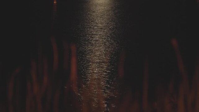 夜の水面にきらめく街灯の光の反射とライトトレイルの4K動画
