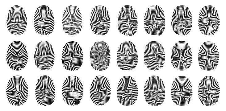 Fingerprint biometric identity security thumbprint