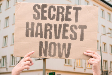 "Secret harvest now" Adversaries store encrypted data for later. QUANTUM. THREAT. ALREADY. HARVEST. DECRYPT. © AndriiKoval