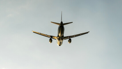 Fototapeta premium Jet descends gracefully against a soft sky
