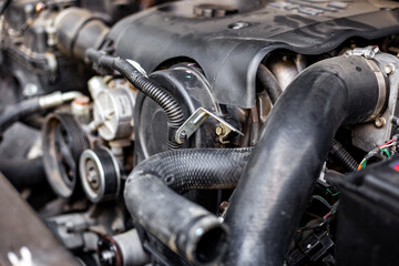 Fototapeta premium Engine bay close-up showing belts, hoses and pulleys. auto repair, mechanical detail, workshop service.