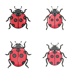 Fototapeta premium Set of adorable ladybugs with spots and antennae in cartoon style