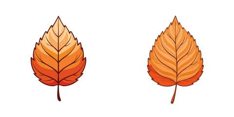 Fototapeta premium Set of two stylized autumn leaves in warm orange and red colors with detailed veining