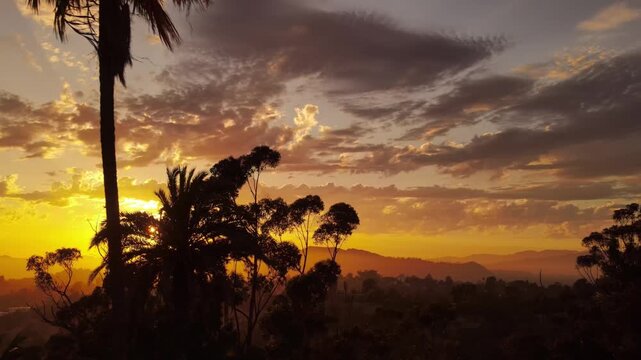 Aerial shot of dramatic clouds and the setting sun behind a row of palm trees. Los Angeles California.