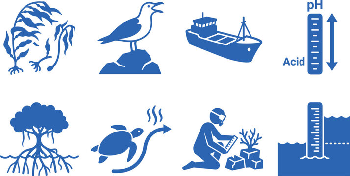 Marine life and oceanography icons including kelp, seagull, ship, pH meter, mangrove, turtle, diver, and water level vector illustration