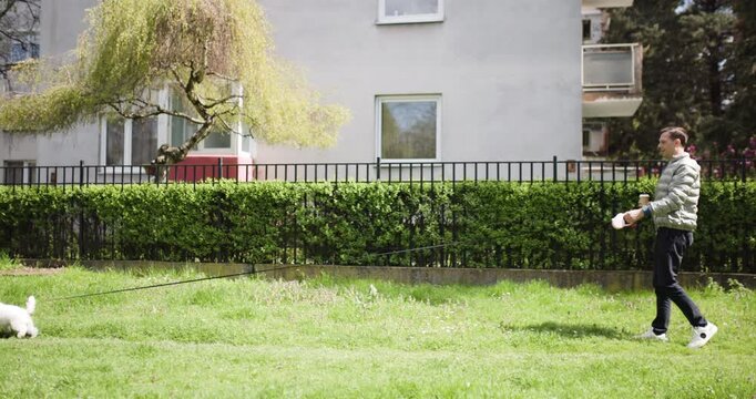 A person strolls through a city park with a dog on a sunny day. The grassy area is vibrant, surrounded by trees and buildings, creating a peaceful outdoor atmosphere