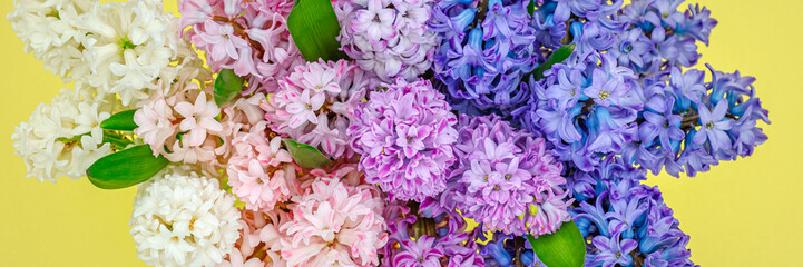 Fototapeta premium Colorful flowers in a bunch on a yellow background with different shades of blooms