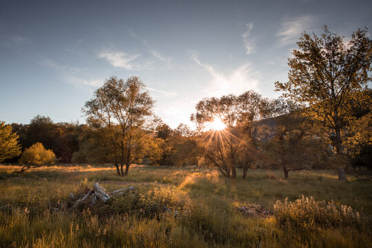 sunrise in the country with trees and sunrays