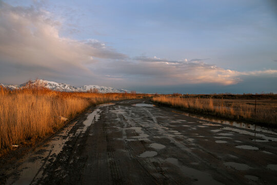 gravel road in grassy fiels at sunset with snow capped mountains 