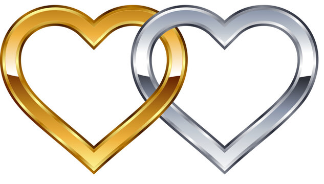 two twin gold and silver valentines or wedding love hearts linked together vector isolated on transparent background
