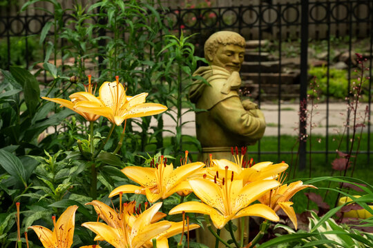 St Francis of Assisi & lilies;  Lincoln, Nebraska