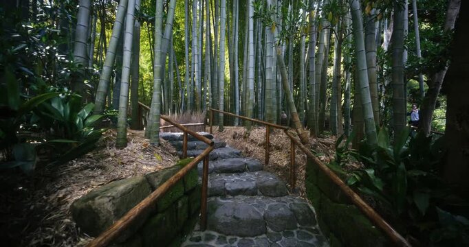Stone Steps With Handrails On Bamboo Grove Path - Steady Cam