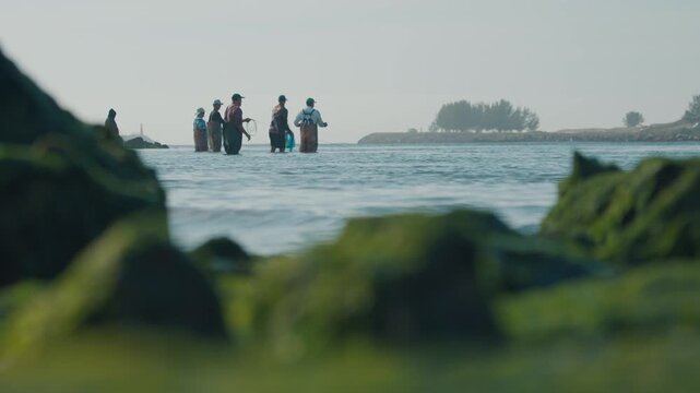 Group of fishermen wait to cast their nets to catch mullet fish with help of the dolphins swimming around. Human and animal unique collaboration in hunting. Town of Laguna on the south of Brazil