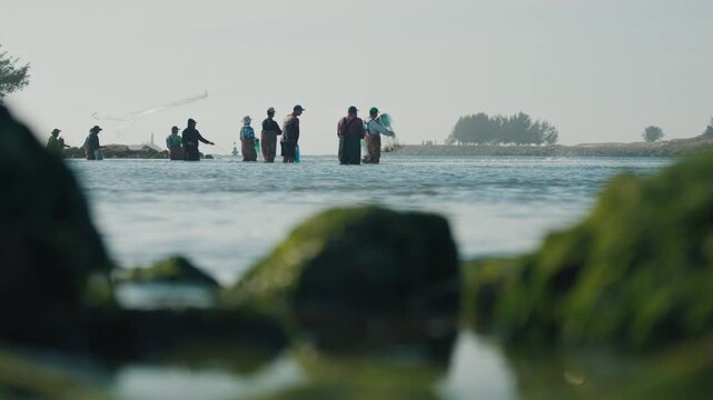 Group of fishermen cast their nets to catch mullet fish with help of the dolphins swimming around. Human and animal unique collaboration in hunting. Town of Laguna on the south of Brazil