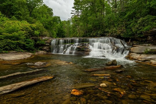 living waters