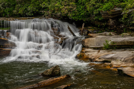 living waters