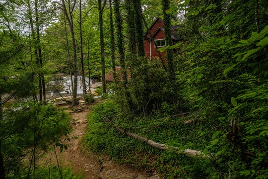 living waters