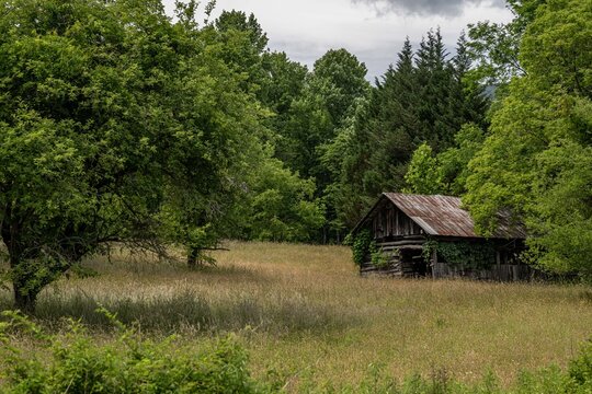 country