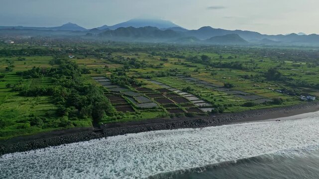 Aerial coastal fields beneath misty volcano, broad patchwork paddies meeting surf, distant mountain ridges shrouded in haze, tranquil rural panorama, sustainable agriculture visual,Bali,Indonesia