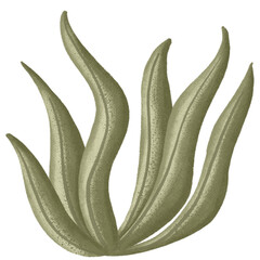 Dark green sea grass leaves. Watercolor nursery illustration. For baby decor, cards, invitations. Under the sea. © Jundelly Atelier