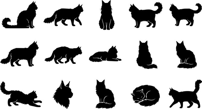 Maine coon cat silhouette icon set, flat black glyph style, pure white background