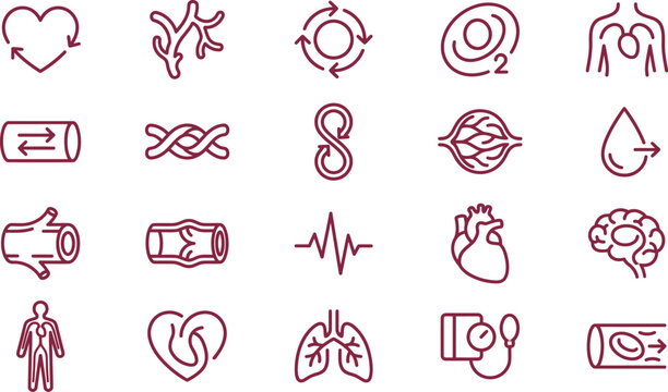 Minimalist vector illustration set depicting essential human cardiovascular system health icons in bold maroon lines