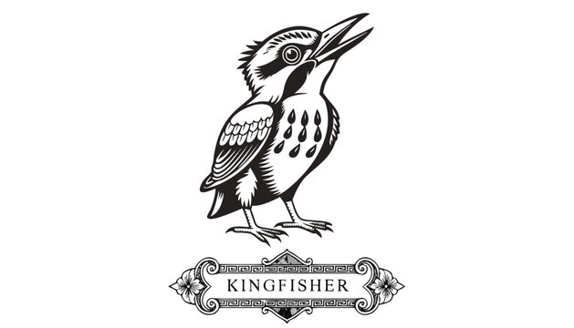 Very beautiful black-and-white engraved vector illustration featuring a young Kingfisher chick with refined feather textures and a decorative engraved label reading "KINGFISHER", isolated on white bac