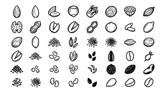Vector Illustration of Various Seeds Nuts and Beans for Healthy Lifestyle Graphics